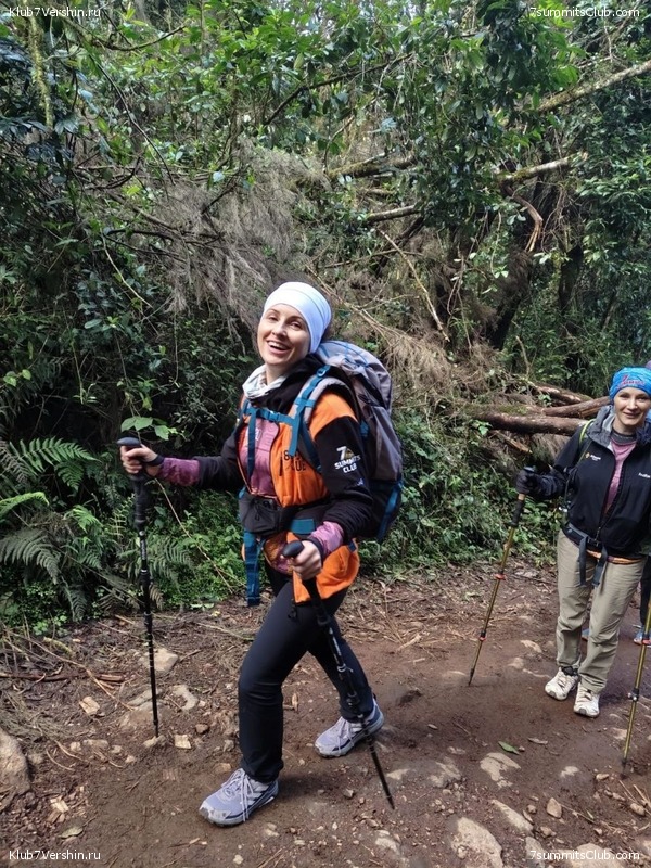 ������������ 2025. ���� - ��������, ���� 329