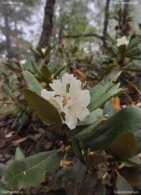 �������. ������ 2025 ����, ���� 423