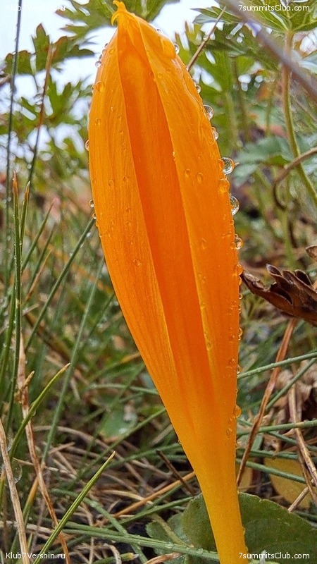 �������. ������ 2025 ����, ���� 568