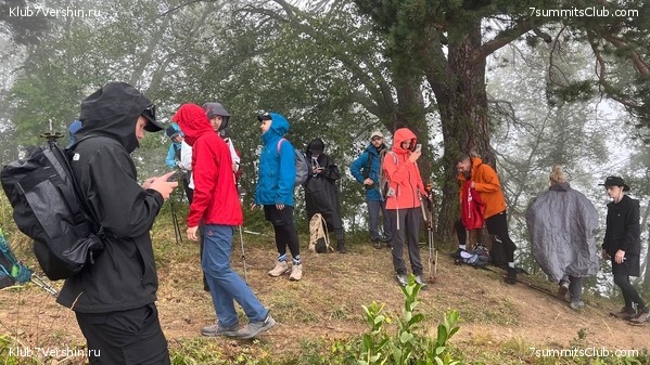 �������. ������ 2025 ����, ���� 80