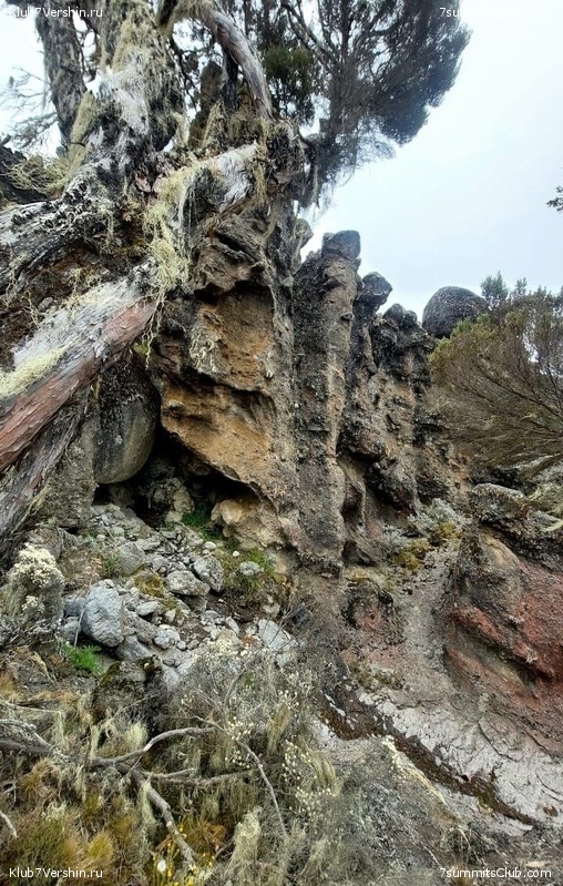 ������������ 2025. ���� - ��������, ���� 429