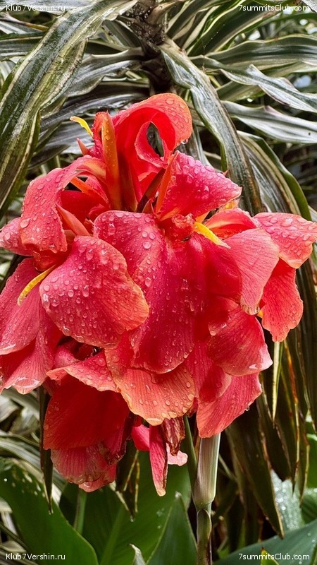 ������������ 2025. ������, ���� 81