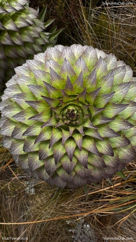 ������������ 2025. ������, ���� 82