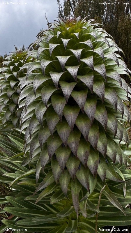 ������������ 2025. ������, ���� 83