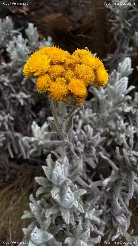 ������������ 2025. ������, ���� 84