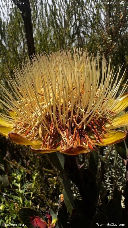 ������������ 2025. ������, ���� 85