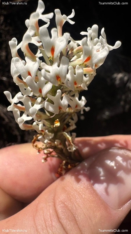 ������������ 2025. ������, ���� 86