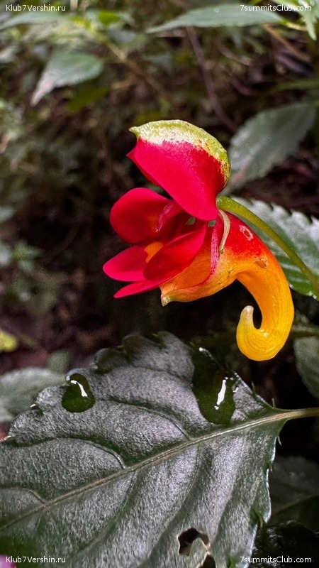 ������������ 2025. ������, ���� 87