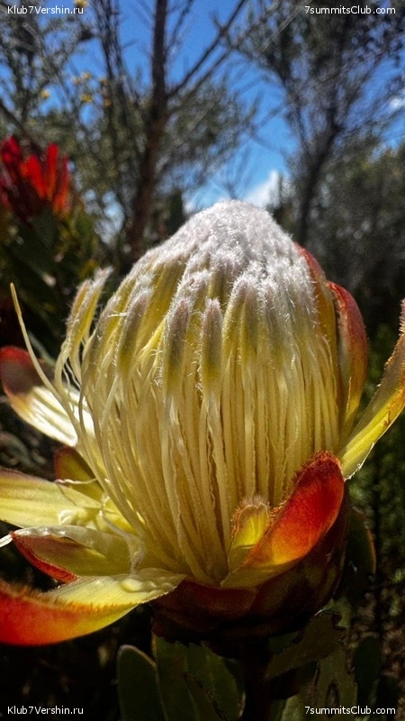 ������������ 2025. ������, ���� 88