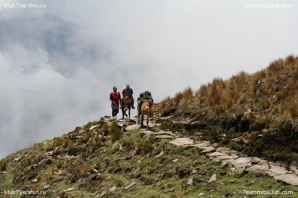 ���� �����, ���� 15