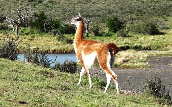 ����������. ��������� �����, ���� 19