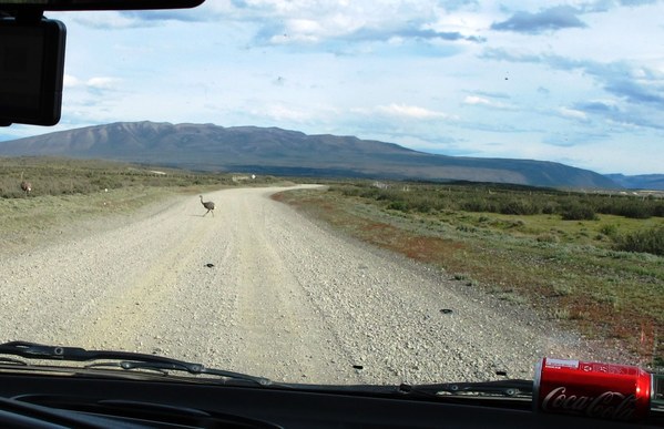 ����������. ��������� �����, ���� 20