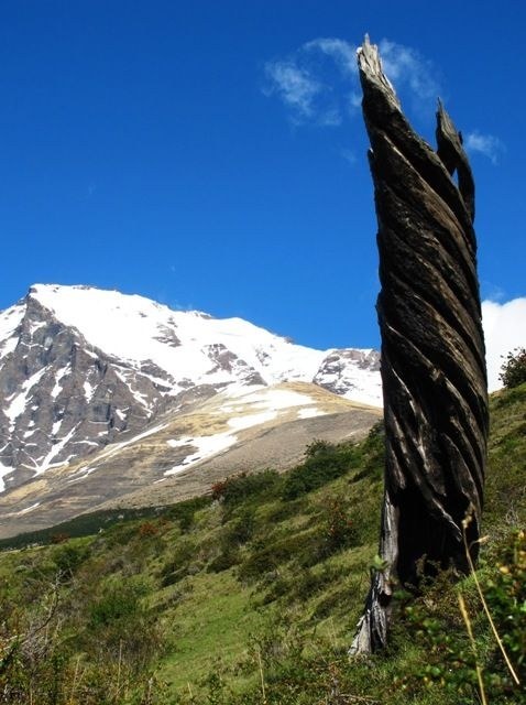 ����������. ��������� �����, ���� 222