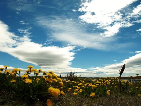 ����������. ��������� �����, ���� 35