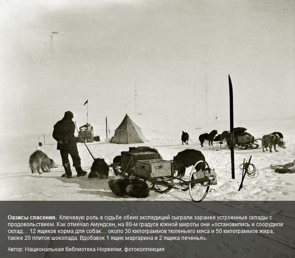 ����������. ��������� �����, ���� 184