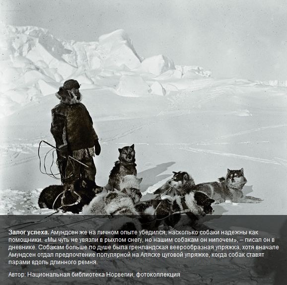 ����������. ��������� �����, ���� 190