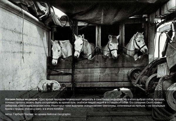 ����������. ��������� �����, ���� 28