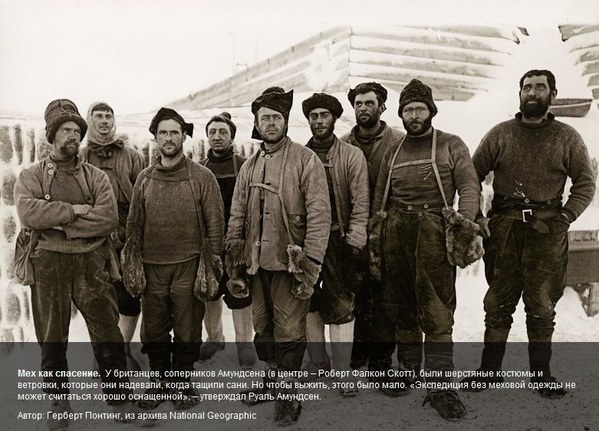 ����������. ��������� �����, ���� 31