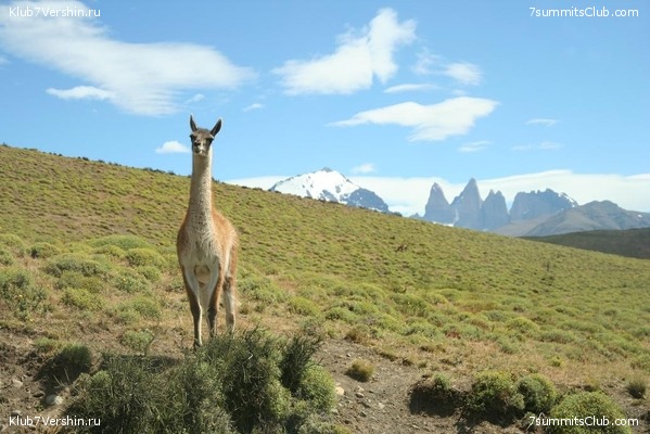 ���������, ���� 11