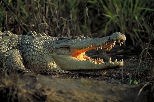 ������. ����� ����� ������, ���� 10