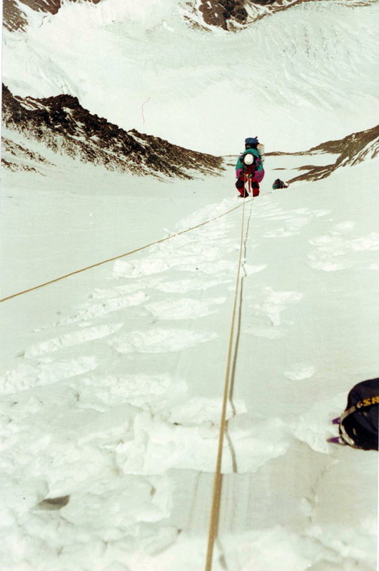 ������� �������� (������), ���� 24