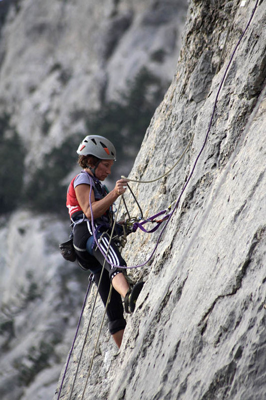 ���������� ����, ���� 274