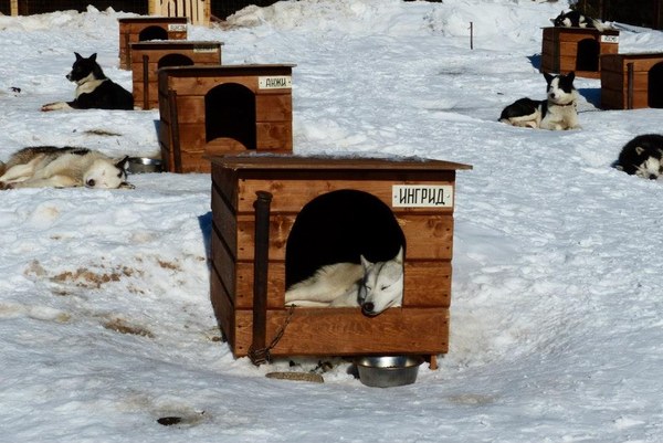 ���������� ����, ���� 82