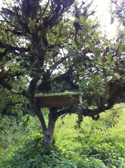 ������ ����, ���������, ���� 58