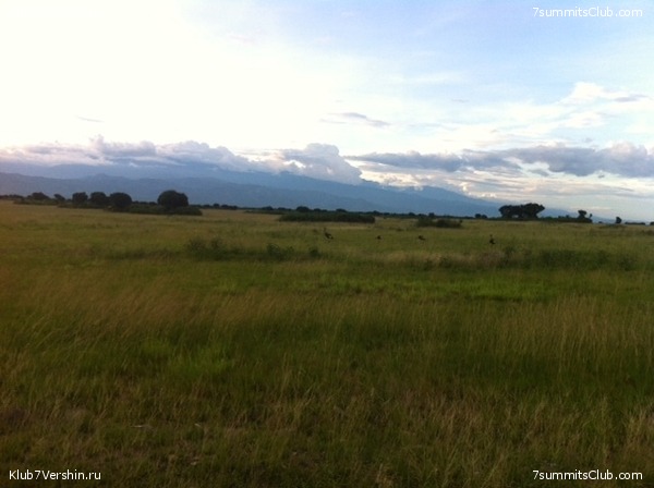 ������ ����, ���������, ���� 22