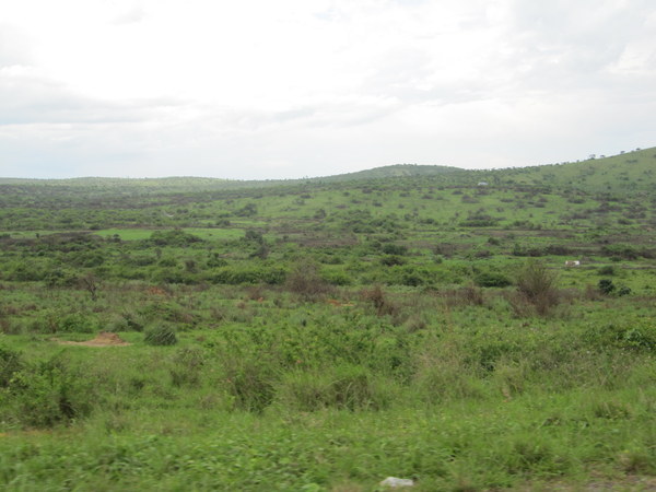 ������ ����, ���������, ���� 35