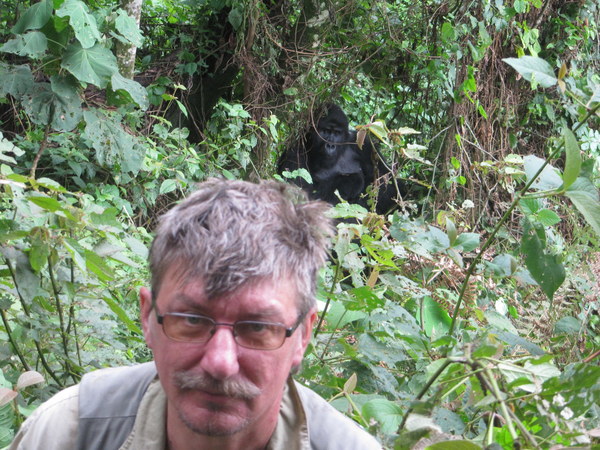 ������ ����, ���������, ���� 38