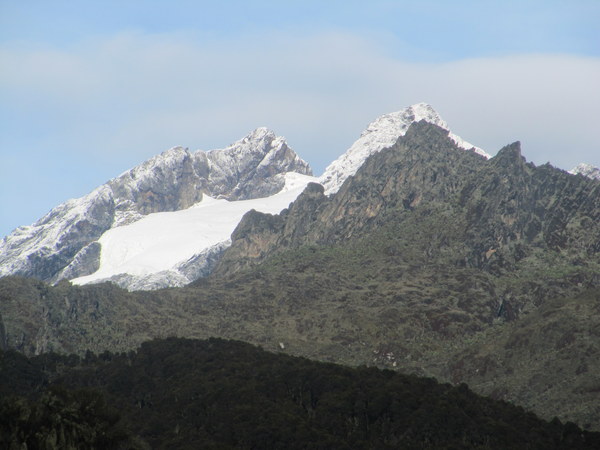 ������ ����, ���������, ���� 39