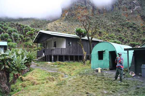 ������ ����, ���������, ���� 11