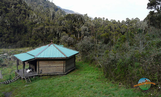 ������ ����, ���������, ���� 4