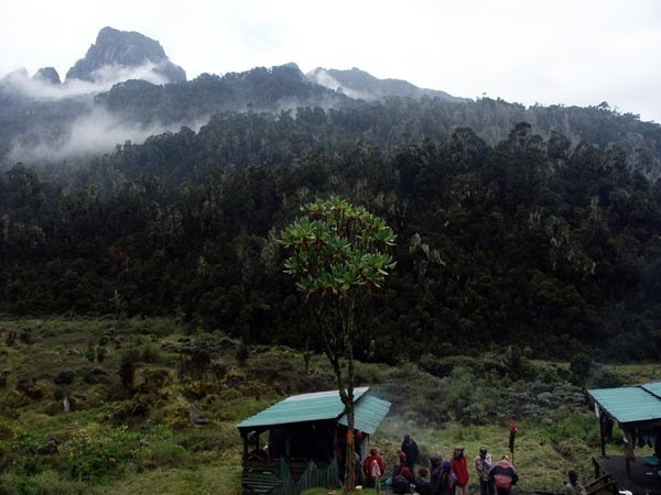 ������ ����, ���������, ���� 43