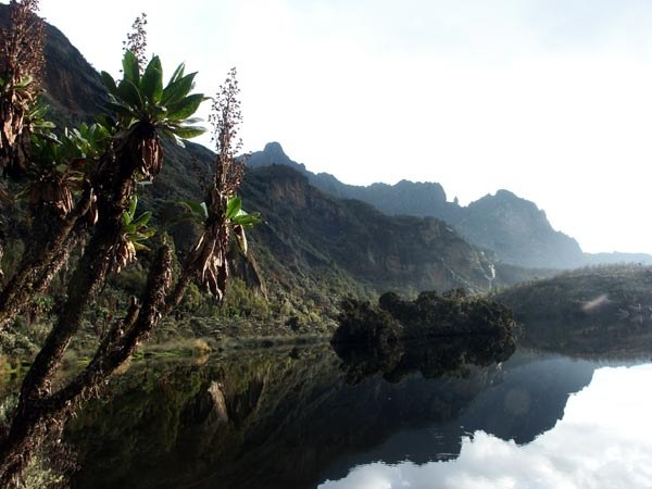 ������ ����, ���������, ���� 45