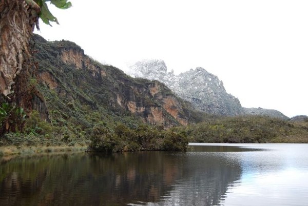 ������ ����, ���������, ���� 13