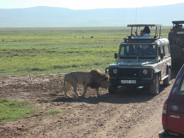 00-������������ �������, ���� 175