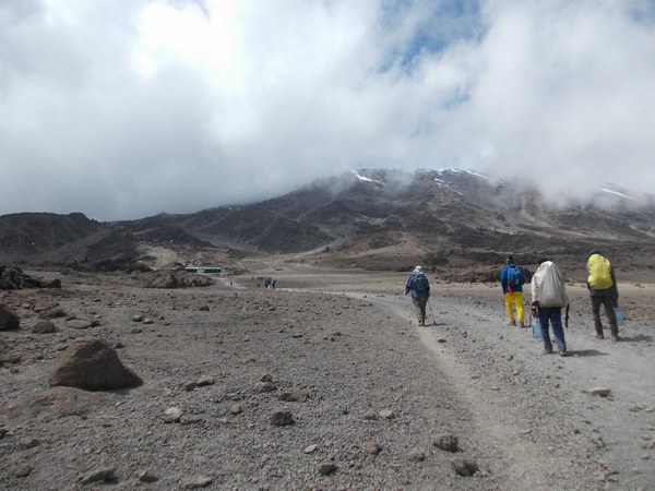 00-������������ �������, ���� 176