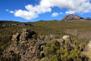 �������, ���� 39