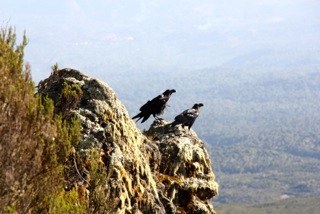 �������, ���� 40