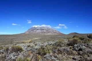 �������, ���� 41