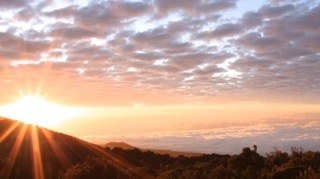 �������, ���� 9