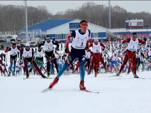 ����, ���� 113