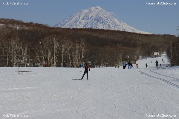 ����, ���� 49