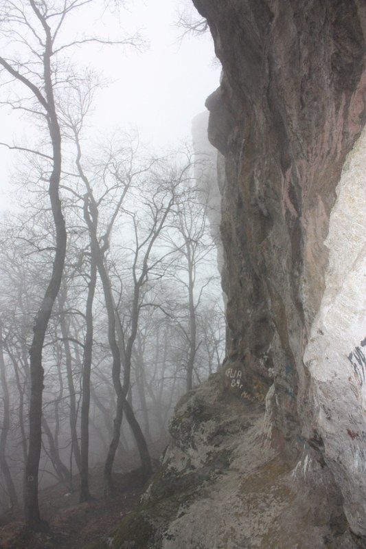 ������� �� ������������, ���� 63