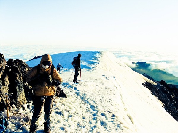 ����� �����: ������