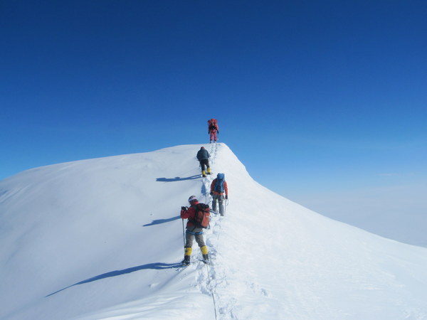 ������� ���������. ������ �����