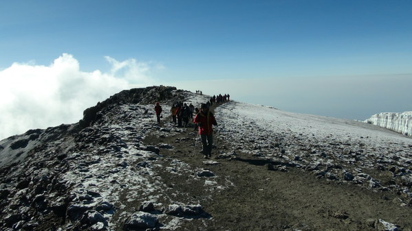 ���� �����������: ������������, �������� 2013 ����, ������� ������