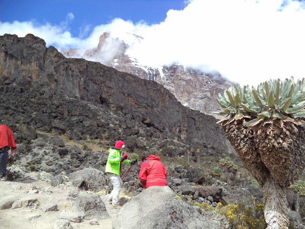 ���� �����������: ������������, �������� 2013 ����, ������